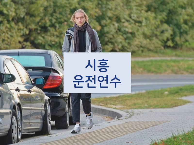 시흥운전연수 후기