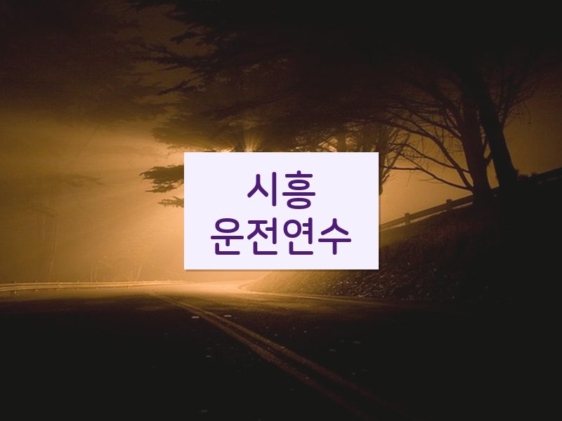 시흥운전연수 후기