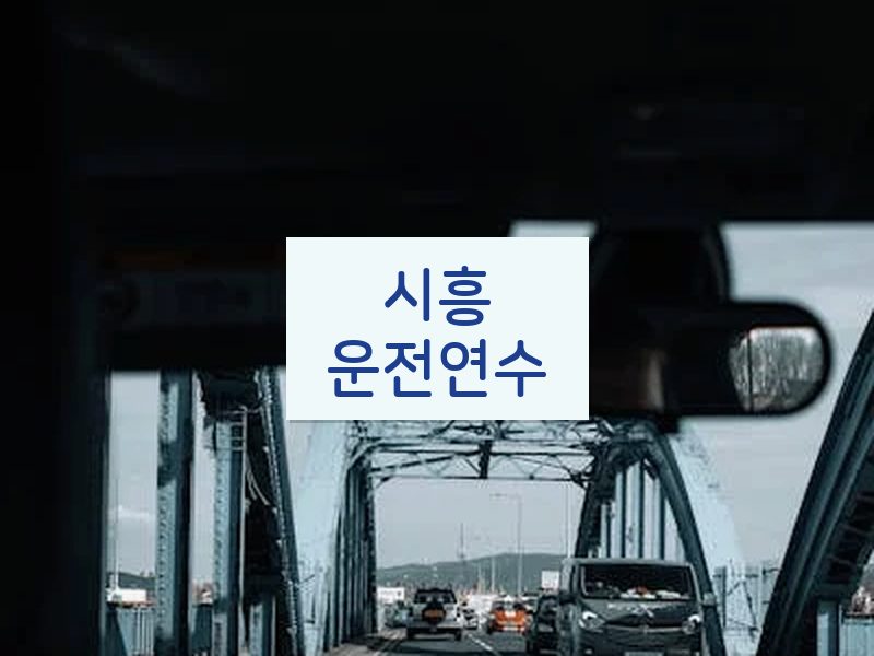 시흥운전연수 후기