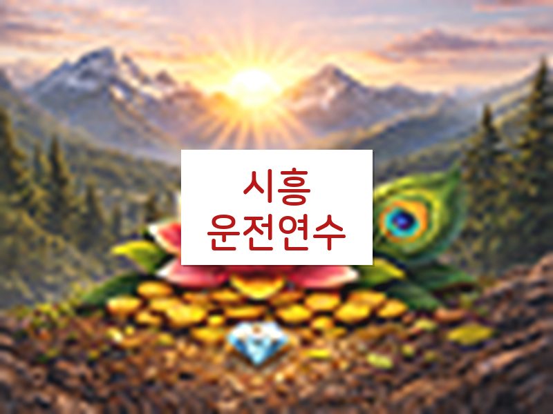 시흥운전연수 후기