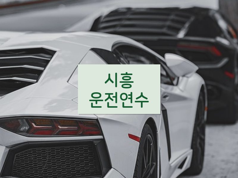 시흥운전연수 후기