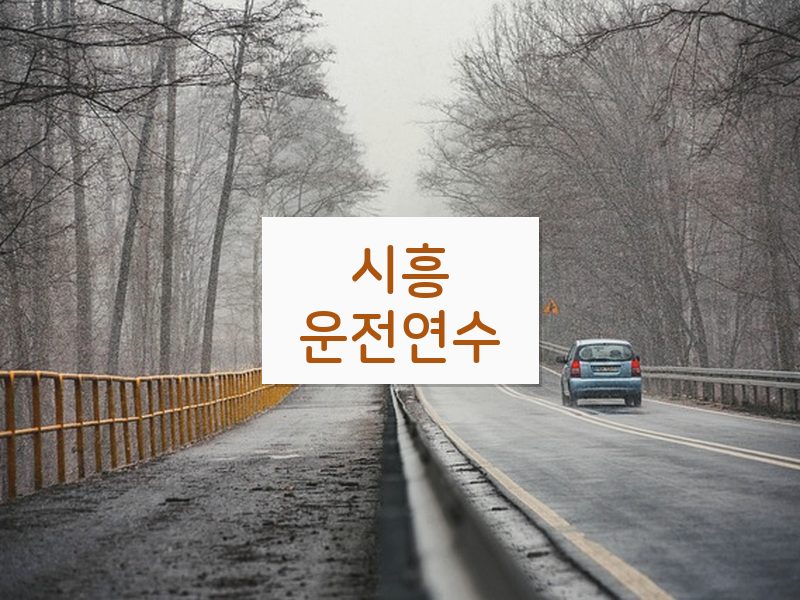 시흥운전연수 후기