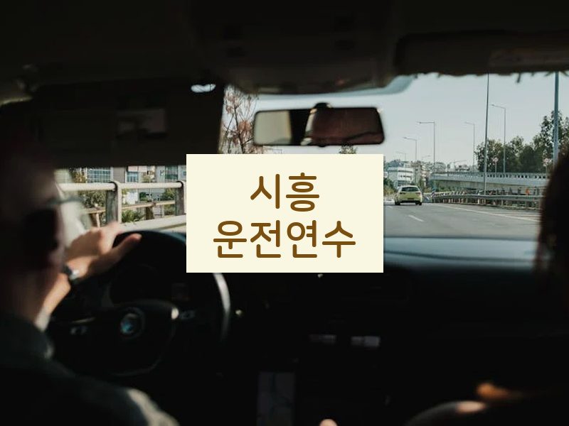 시흥운전연수 후기