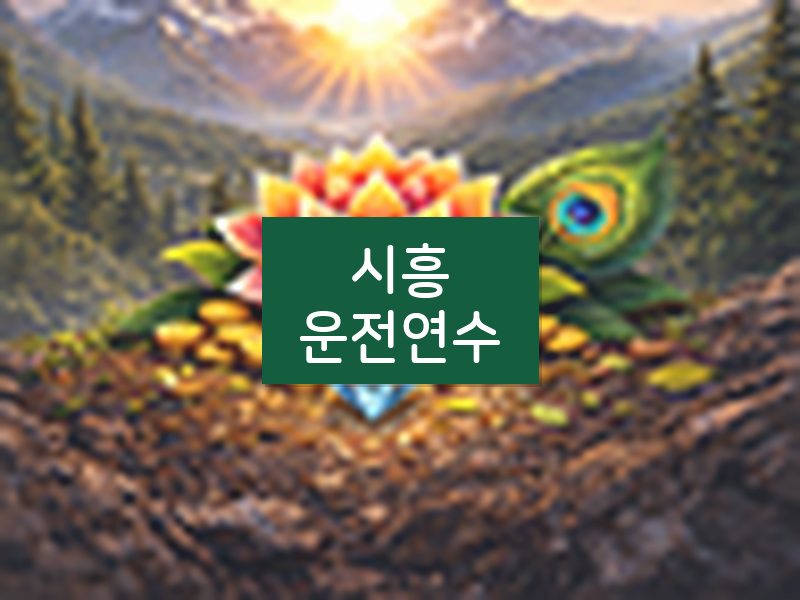 시흥운전연수 후기