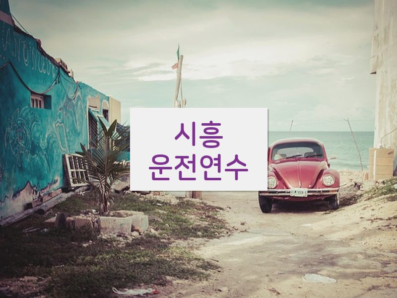 시흥운전연수 후기