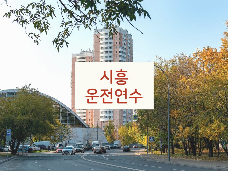 시흥운전연수 후기