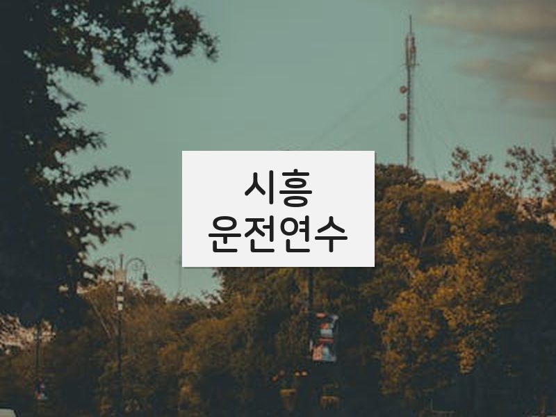 시흥운전연수 후기
