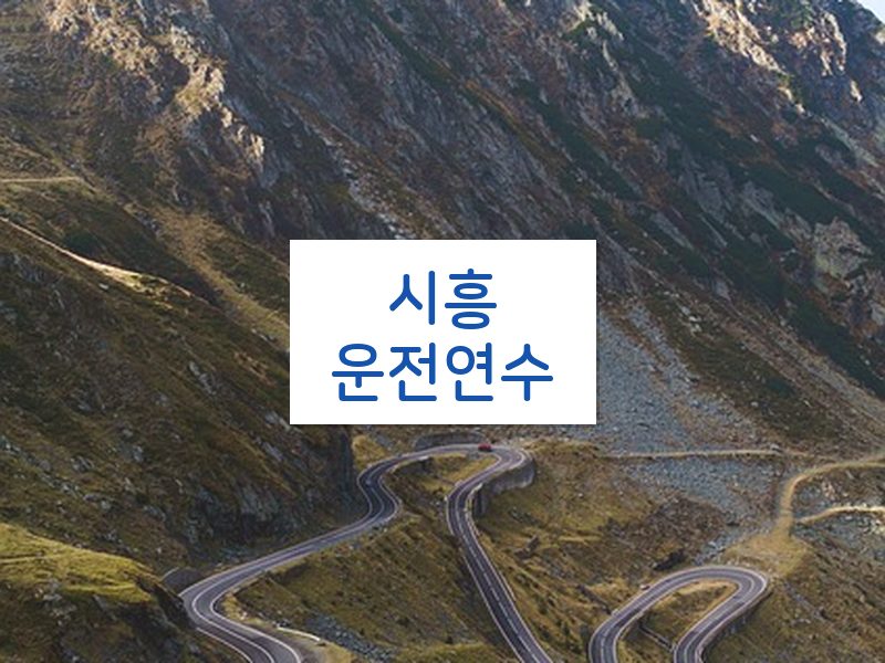 시흥운전연수 후기