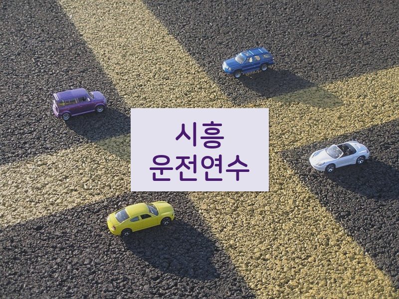 시흥운전연수 후기