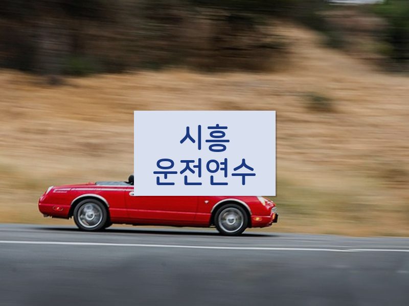시흥운전연수 후기