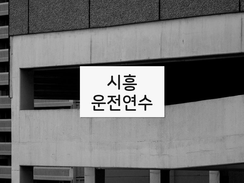 시흥운전연수 후기