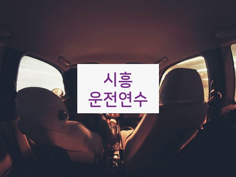시흥운전연수 후기