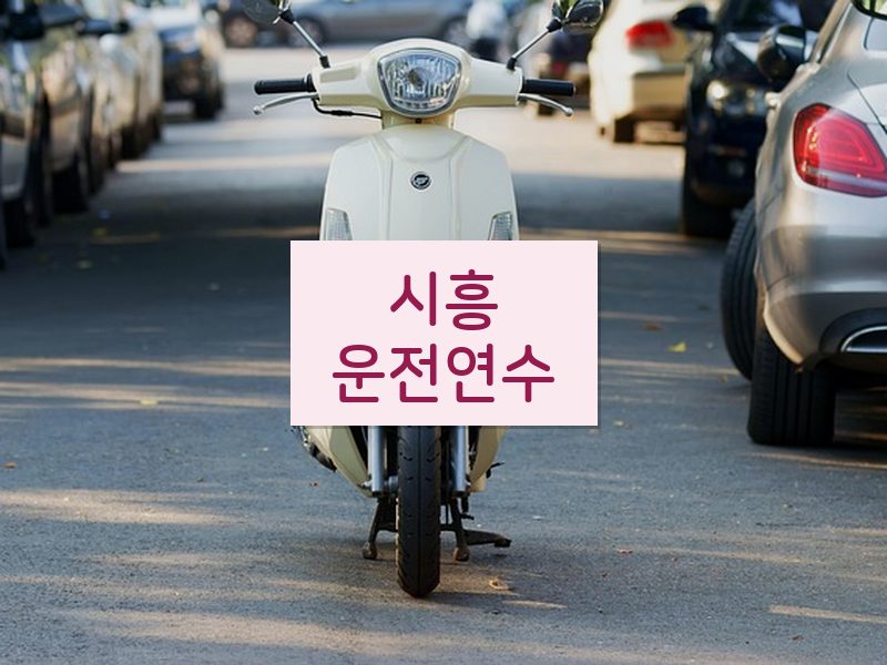 시흥운전연수 후기