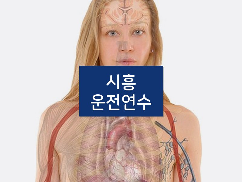 시흥운전연수 후기