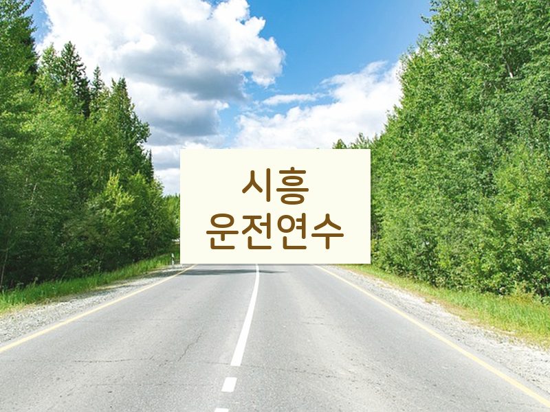 시흥운전연수 후기