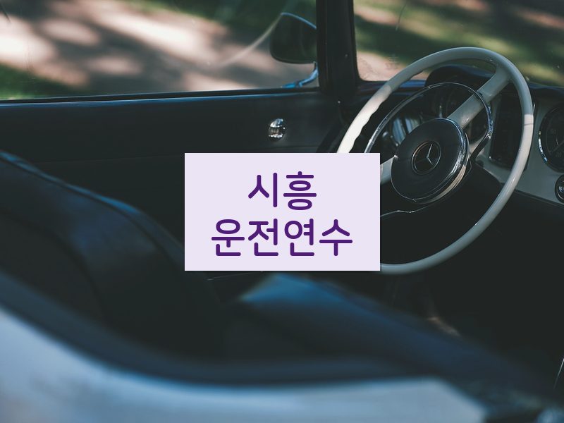 시흥운전연수 후기
