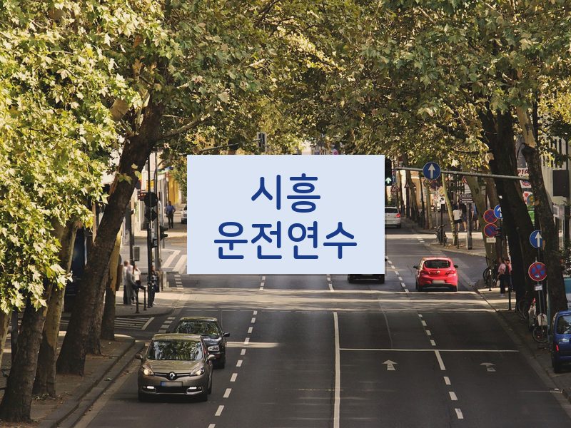 시흥운전연수 후기
