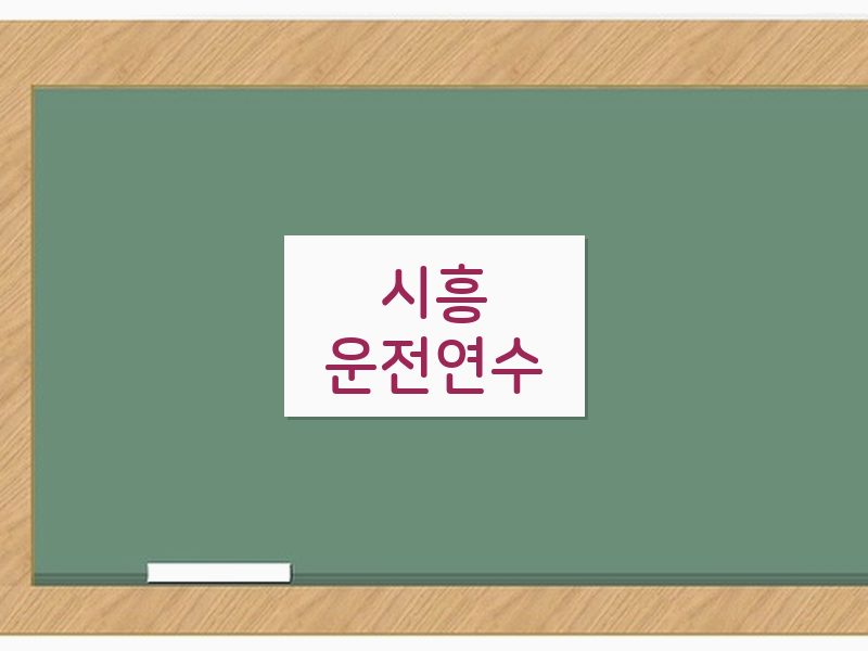 시흥운전연수 후기