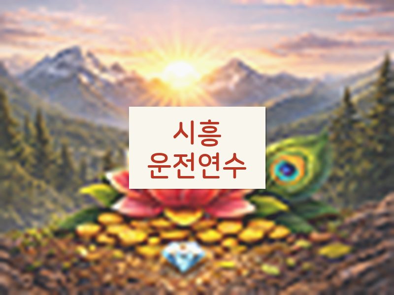 시흥운전연수 후기