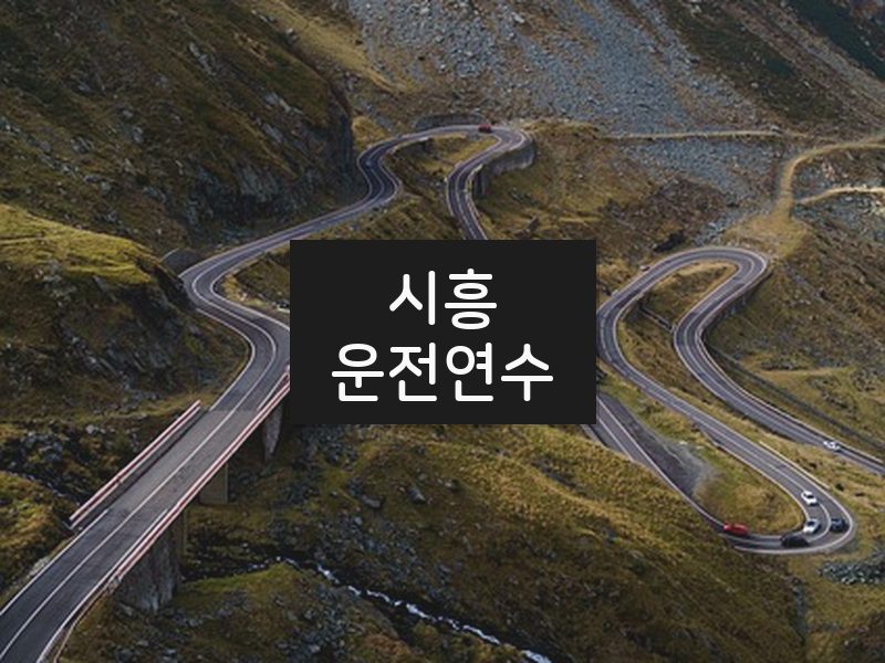 시흥운전연수 후기