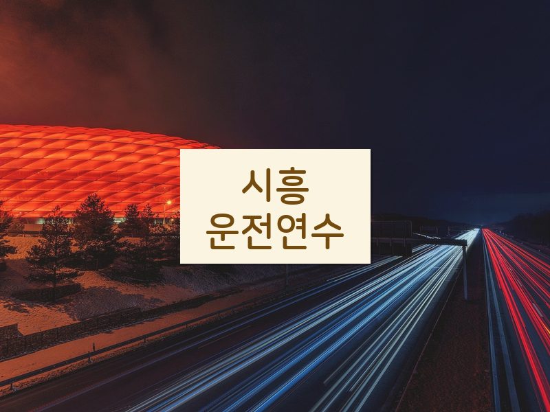 시흥운전연수 후기