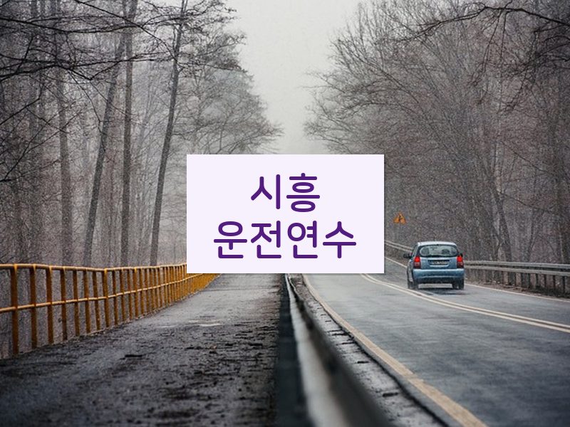 시흥운전연수 후기