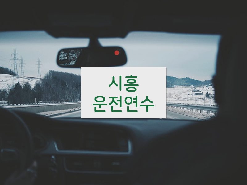 시흥운전연수 후기
