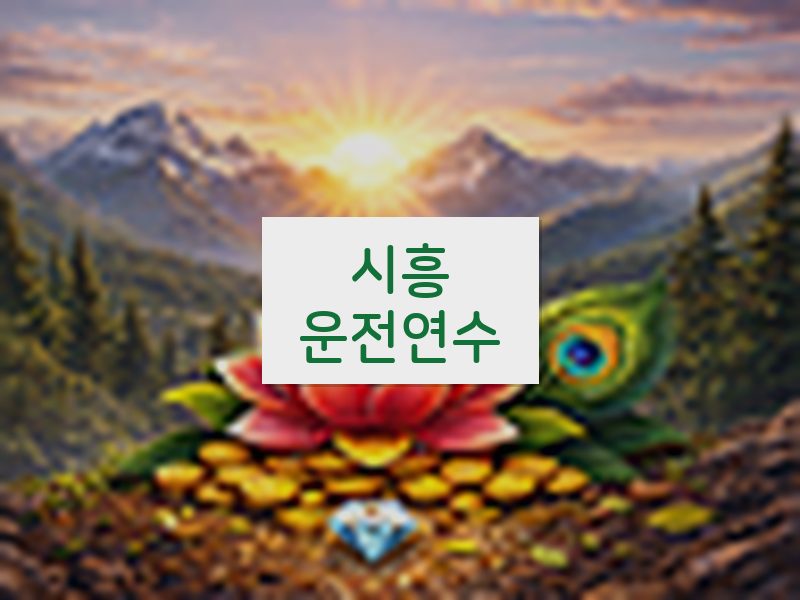 시흥운전연수 후기