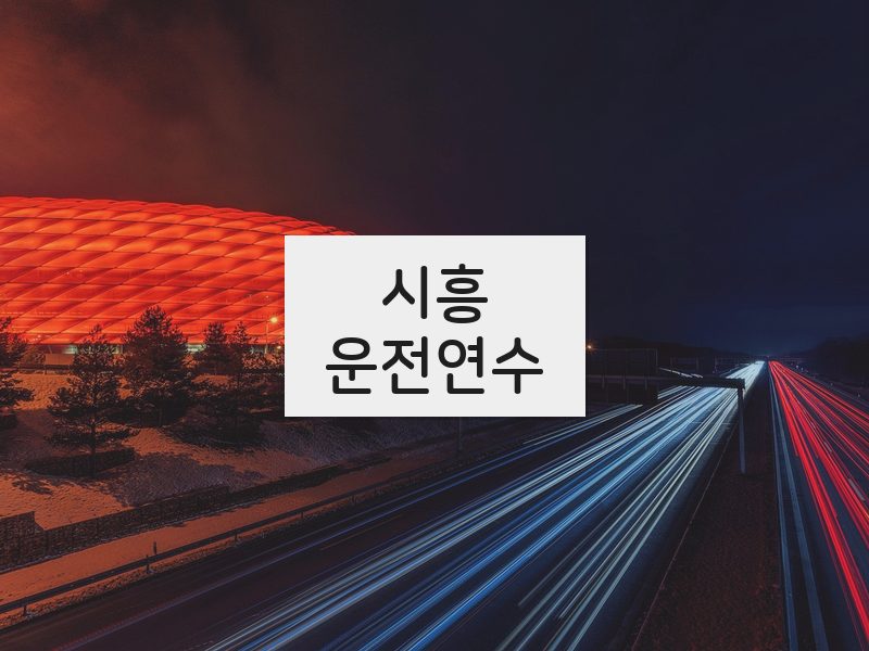 시흥운전연수 후기