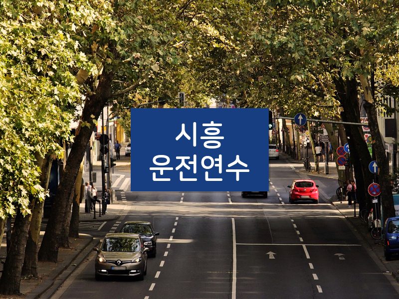 시흥운전연수 후기