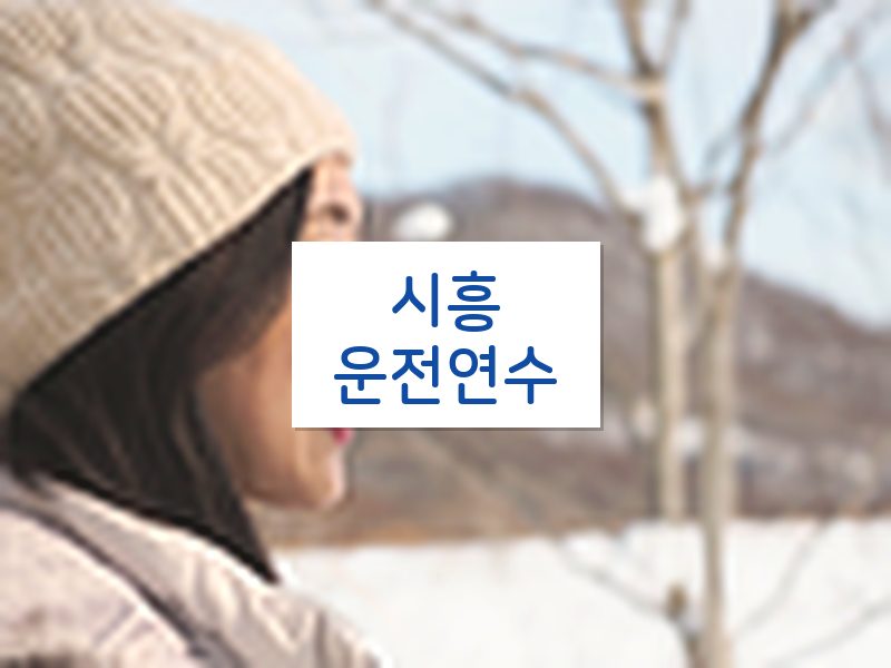 시흥운전연수 후기