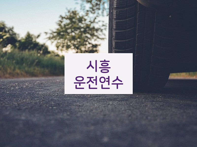 시흥운전연수 후기