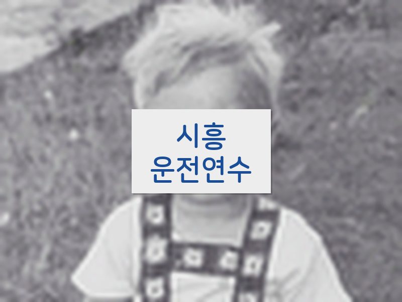 시흥운전연수 후기