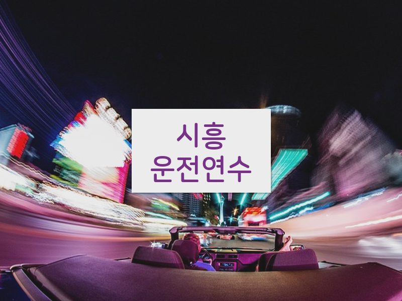 시흥운전연수 후기