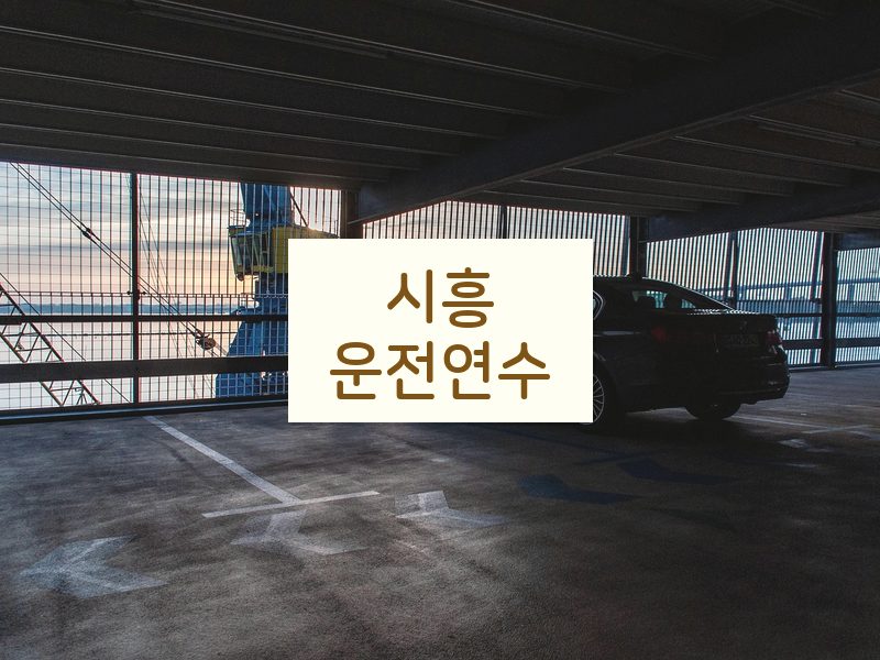 시흥운전연수 후기