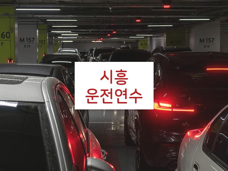 시흥운전연수 후기
