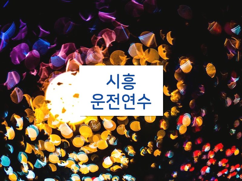 시흥운전연수 후기