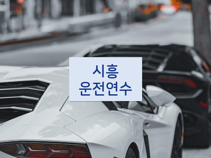 시흥운전연수 후기