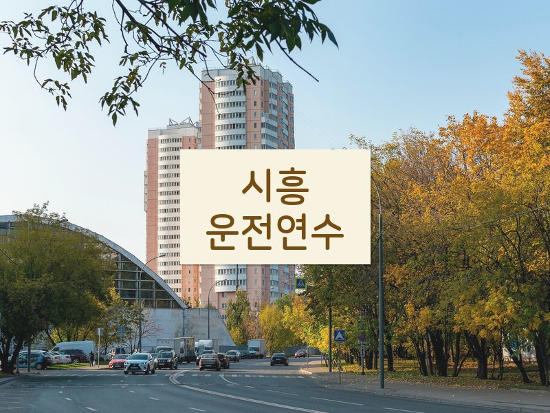 시흥운전연수 후기