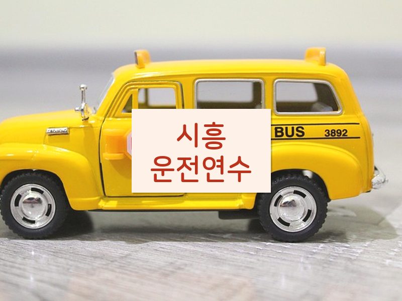 시흥운전연수 후기