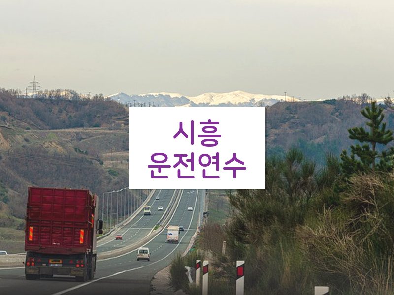 시흥운전연수 후기
