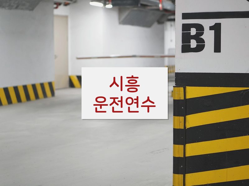 시흥운전연수 후기