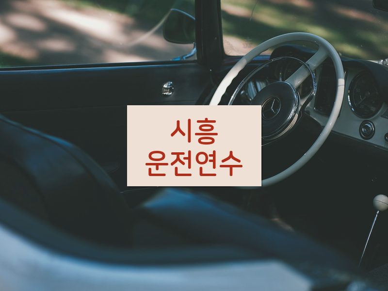 시흥운전연수 후기