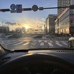 후미경 확인하는 법