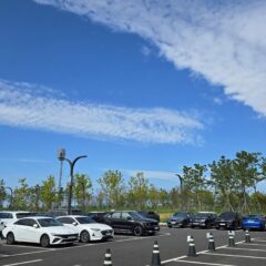 주차장에서 꼬리 자르는 건 완전 미안했어요