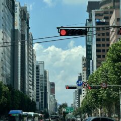 빠른 실력 향상 가능