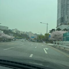 혼잡한 주차장 이제 잘 대처해요!