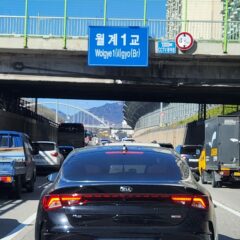 가성비 최고 코스