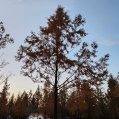 집중 연습 강추