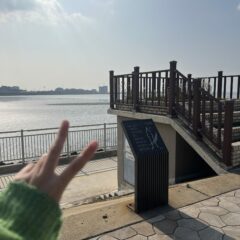 시흥 자차 연수 너무 편해요